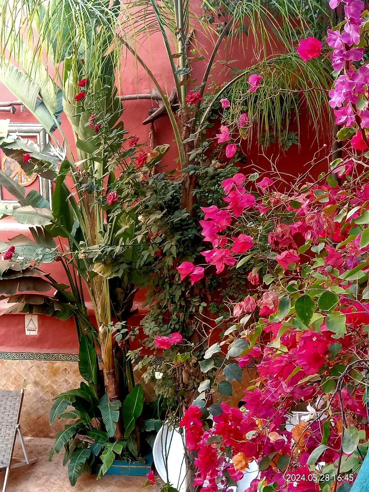 Maison Des Maitres Marrakesh Bagian luar foto